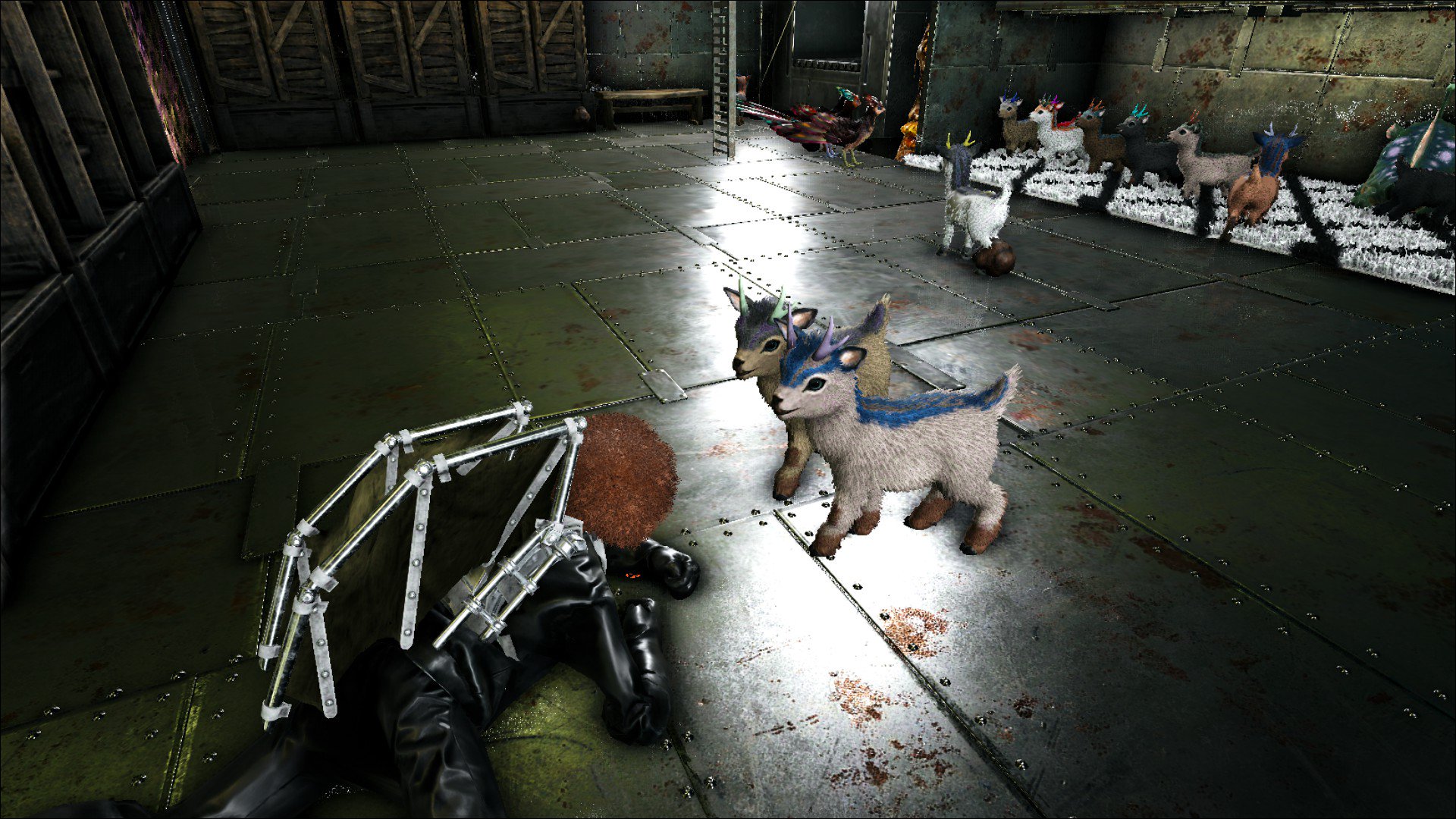 魅惑色のぱんだ Ark 今日は運が良くて中層に行ったらすぐにシャインホーンを発見してレベルを見てみたらなんと145 すぐに テイムして連れ帰りまた中層に戻ったら今度はlv140のシャインホーン 2匹ともお持ち帰りしました W 140の子は効果範囲が374 魅惑色のぱんだ Ark 今日は運が良くて中層に行ったらすぐにシャインホーンを発見してレベルを見てみたらなんと145 すぐに テイムして連れ帰りまた中層に戻ったら今度はlv140のシャインホーン 2匹ともお持ち帰りしました W 140の子は効果範囲が374