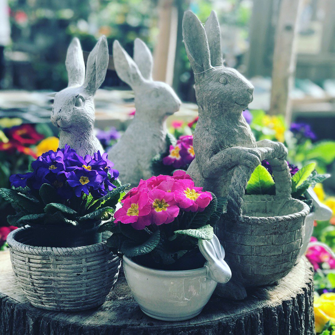 This glorious weather has all the bunnies and birdies coming into our Garden Center!! #Spring #flowers #bunnies #chicks