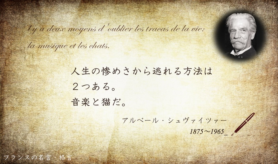 フランス大使館 フランスの名言 格言 人生の惨めさから逃れる方法は2つある 音楽と猫だ 医者 哲学者 音楽 学者のアルベール シュヴァイツァー博士 アフリカでの医療活動に生涯を捧げた博士は1952年ノーベル平和賞を受賞しました 音楽