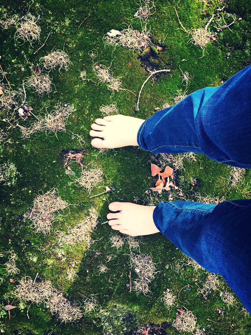Sew_Swim's tweet image. Spent some time this weekend in some really soft moss... why? To #getgrounded  #happyfeet