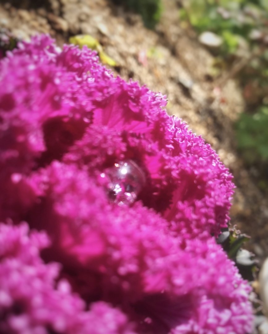 dmc_of's tweet photo. 嘘偽りなく
映るもの全てを
あるがままに映し出す
水の世界

#水は答えを知っている

#自然
#植物

#ヤマト
#yamato

#japan
#JapaneseSpirit 

#earth
#earthSpirit 
#EarthProject

#Cosmic
#CosmicSpirit 
#CosmicProject

#OpenHeart→ #pineal→ https://t.co/I4pZJS6oBd