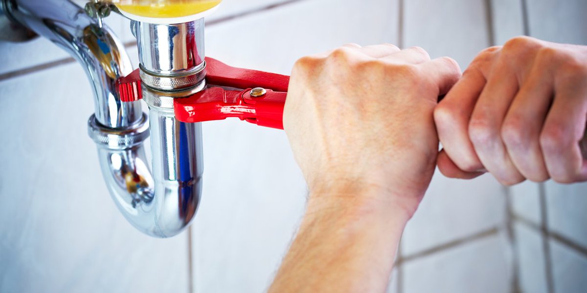 pristineplumbng's tweet photo. #Plumbing systems here are considered to be the most important factor that determines the overall quality of the plumbing work that needs to be done. This is why it is necessary to keep certain factors in mind for a clean plumbing system in the future. > https://t.co/ER4XdVEHdb https://t.co/1t20IZtWDC