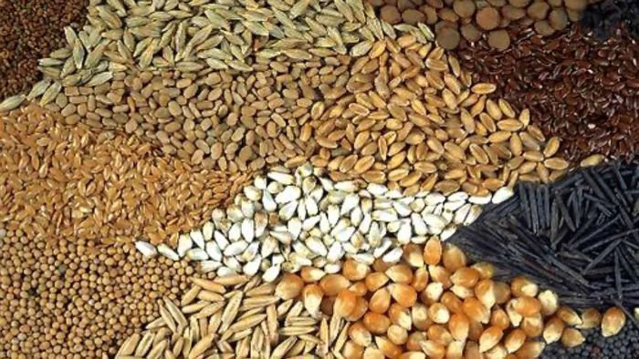 Granos | Las cotizaciones del mercado de granos del 23 / 02 / 2018