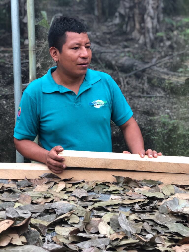 Seguimos sumando más comunidades a nuestra familia ahora llegamos a Río Blanco Al Oriente del país, gracias a nuestros amigos <a href="/SistemaB/">Sistema B</a> . Con esta comunidad Kichwa trabajaremos en la producción de Guayusa, hierva luisa amazónica y nuevos frutos nativos de nuestra linda Amazonía.