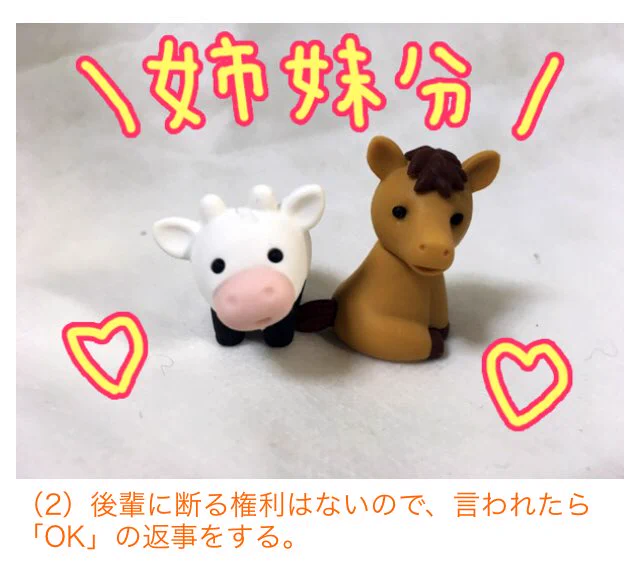 あなたの中学時代にあった？独特なカースト制度「姉妹制度」！