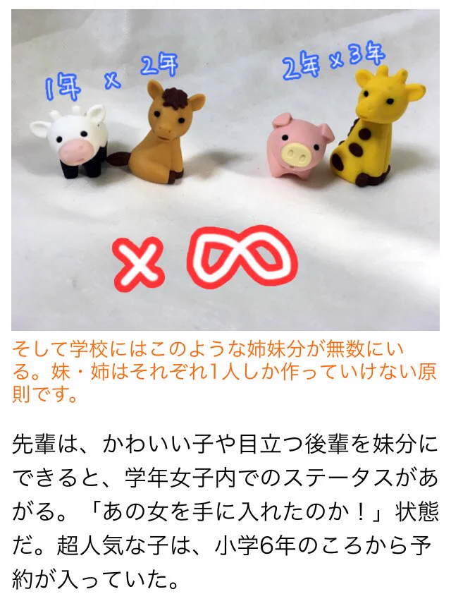 あなたの中学時代にあった？独特なカースト制度「姉妹制度」！