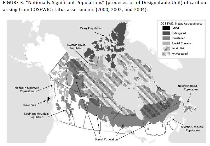 Prior to the  #caribou DUs there were eight "nationally significant populations" that arose from COSEWIC status assessments in the early 2000s. Many of these alternative/overlapping names are still found on the national SARA registry (6/) [Image from:  http://www.cosewic.gc.ca/4E5136BF-F3EF-4B7A-9A79-6D70BA15440F/COSEWIC_Caribou_DU_Report_23Dec2011.pdf]