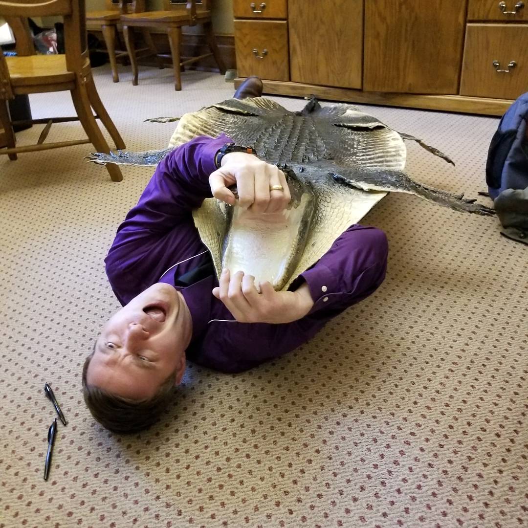 LDFargoLibrary's tweet photo. Library attended Library Legislative Day on February 21st. Library and others drank coffee and met with legislators to thank them for their support, let them know about our work, and wrestle their pet alligators.
#LibrariesTransform
#LibraryLegislativeDay
#alligator https://t.co/EA1uTt8J1V