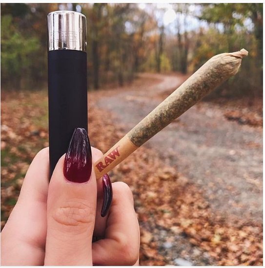 Mjcouponcode's tweet photo. Tag your stoner friend with whom you want to light this. 
.
.
#light #friend #mjcoupon #coupon #couponcode #mj #marijuanacoupon #medicalcannabis #MedicalMarijuana #MarijuanaMovement #Marijuanadelivery #MarijuanaFacts #CannabisStrain https://t.co/ctZTAegugb