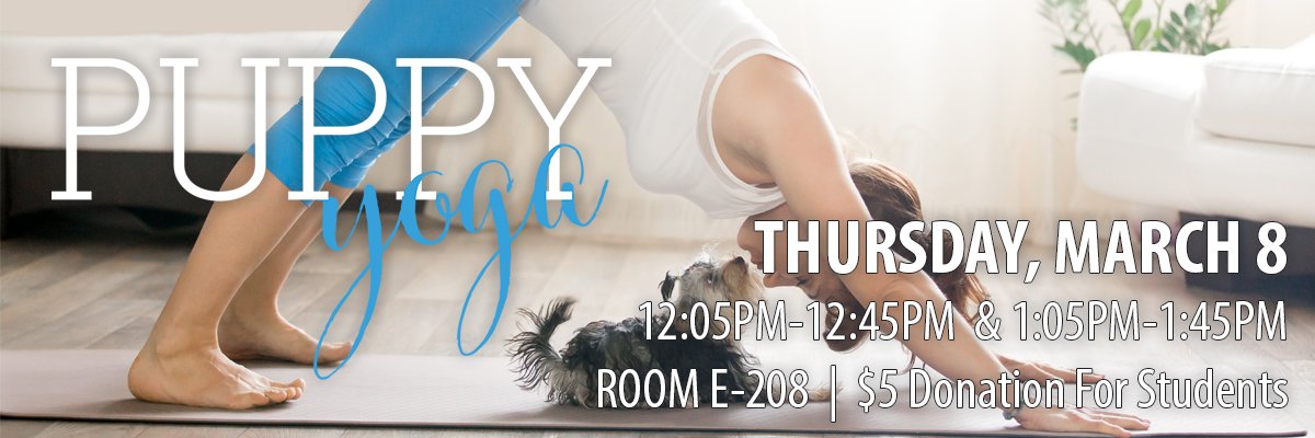 NAITSA's tweet photo. Join us on March 8 for Puppy Yoga! Take your mind off midterms with our gentle guided yoga class & enjoy a few snuggles from the Hope Lives Here rescue puppies! Limited spots available, sign up today! https://t.co/KbmTyXH3g0 #NAIT #NAITSAevents #NAITSA #puppy #yoga https://t.co/2wBT0jIWuq