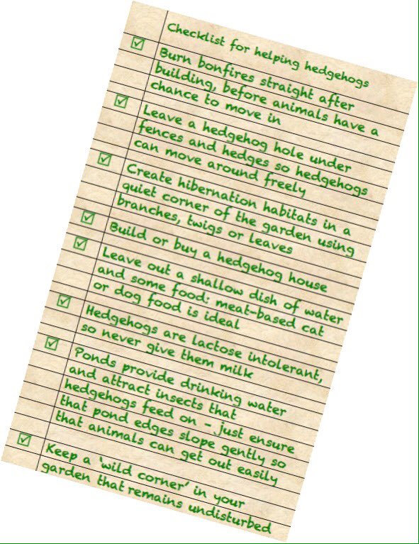 LGSpace's tweet image. Hedgehogs are declining in the UK - but our gardens can make a big difference! Easy actions include leaving a wild corner, never giving them milk, and creating a hibernation spot with branches and leaves. More tips at bit.ly/2fWHafp
#HelpingHedgehogs #GreenSpaceTips