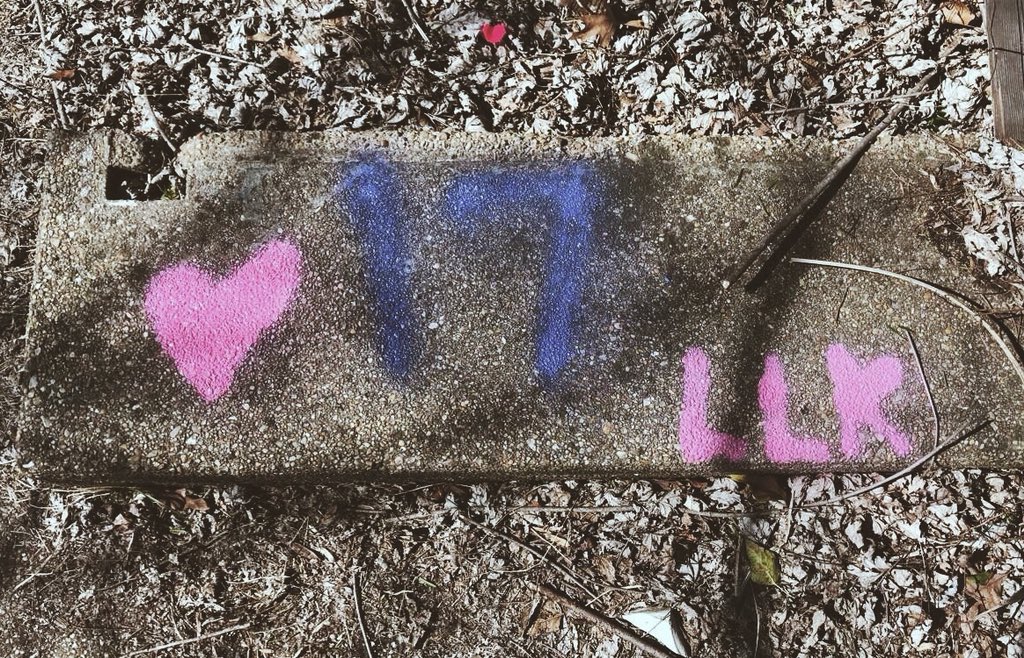 hayleexo_27's tweet photo. great adventures🦋 #kierstenstrong #L4K #forevermissingyou💙 https://t.co/KZ8aed13Zo
