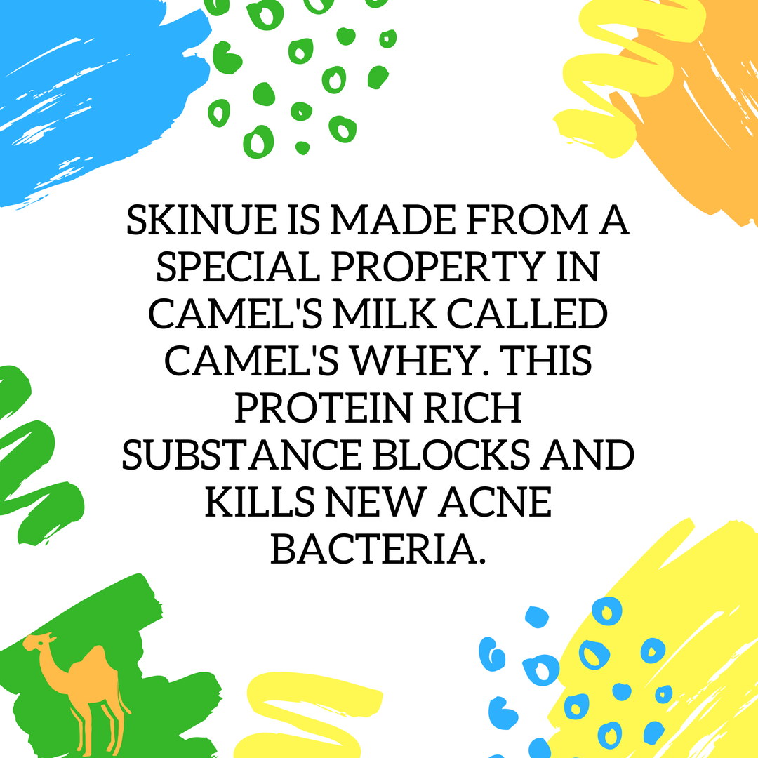 MySkinue's tweet photo. We know that camel’s milk isn’t the first ingredient to come to mind when you think pimples, but did you know that a unique property in camel’s milk, camel whey, stops acne? #WednesdayWisdom https://t.co/7ynvv8Wl8M