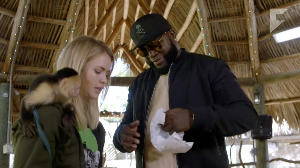 fusiontv's tweet photo. Do you think you could diaper a monkey better than @DavidOrtiz? RT if you think so! #BigPapionFUSION https://t.co/To5ReU9uye