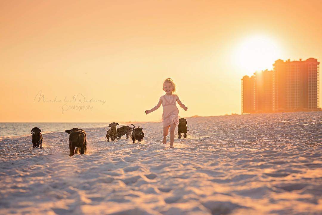 We're on cuteness overload 😍 What would you caption this? Tell us below! 📷 Nichole Waters #CLPicks #MySouthernLiving #lovefl #explorepcola #beach