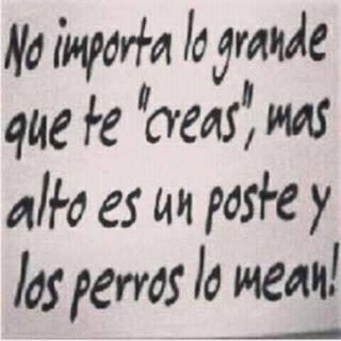 AnguierOlaya's tweet photo. https://t.co/wXcqeffj4Y
