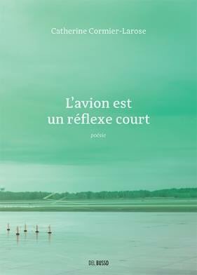 DominicTardif's tweet photo. La musique a son Vendredisque.  La poésie aura ce soir, 20h30, à #ondira son Mercrelivres. Laurie Bédard et moi apposons des collants en forme de coeur sur quelques récentes lectures. https://t.co/rM32XQ6XOS