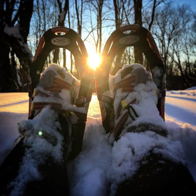 CookCoVisitors's tweet photo. Wednesday afternoon vibes. #donorthmn #visitcc
#onlyinmn #snowshoe #snowshoeing #minnesota #upnorth #boldnorth #north #midwestmoment
#stdothis https://t.co/pIdSQi1AgO https://t.co/oTrAuMHRx2