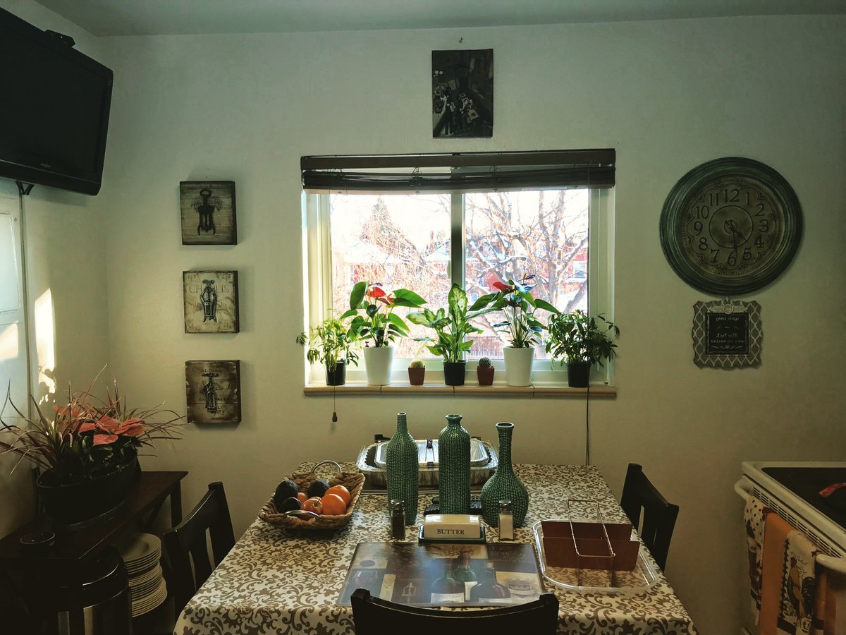 cRich7685's tweet image. Brand new windows in the apartment! Now the plants, and us, won’t freeze😁 ❄️ 🌾🌱🥀 🏠 #classykitchen #myhomecornerstone