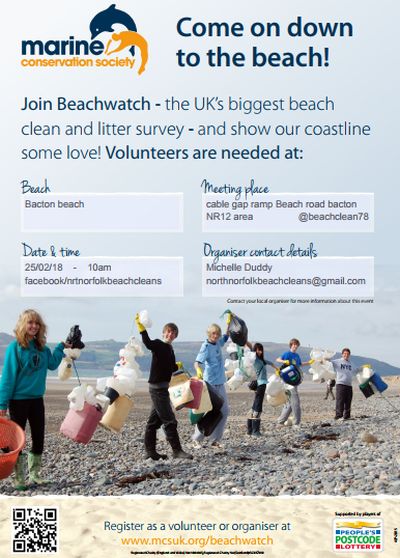 nrthnorfolkbeachclns tweet media