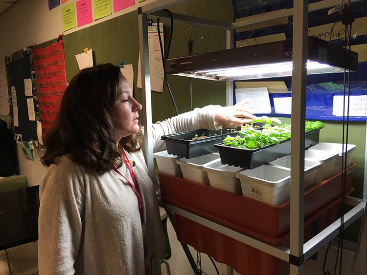 ESL Science Class Brings Out Scientists in Students ecori.org/green-groups/2… via <a href="/ecoRInews/">ecoRI News</a> #hydroponics