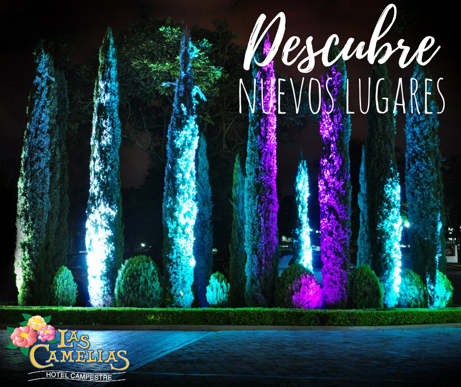 Descubre nuevos lugares y deja que te llenen de sorpresas. 

#buenasnoches #hotels #nochedehotel  #Montenegro #familytime #Colombia 

camelias.com.co