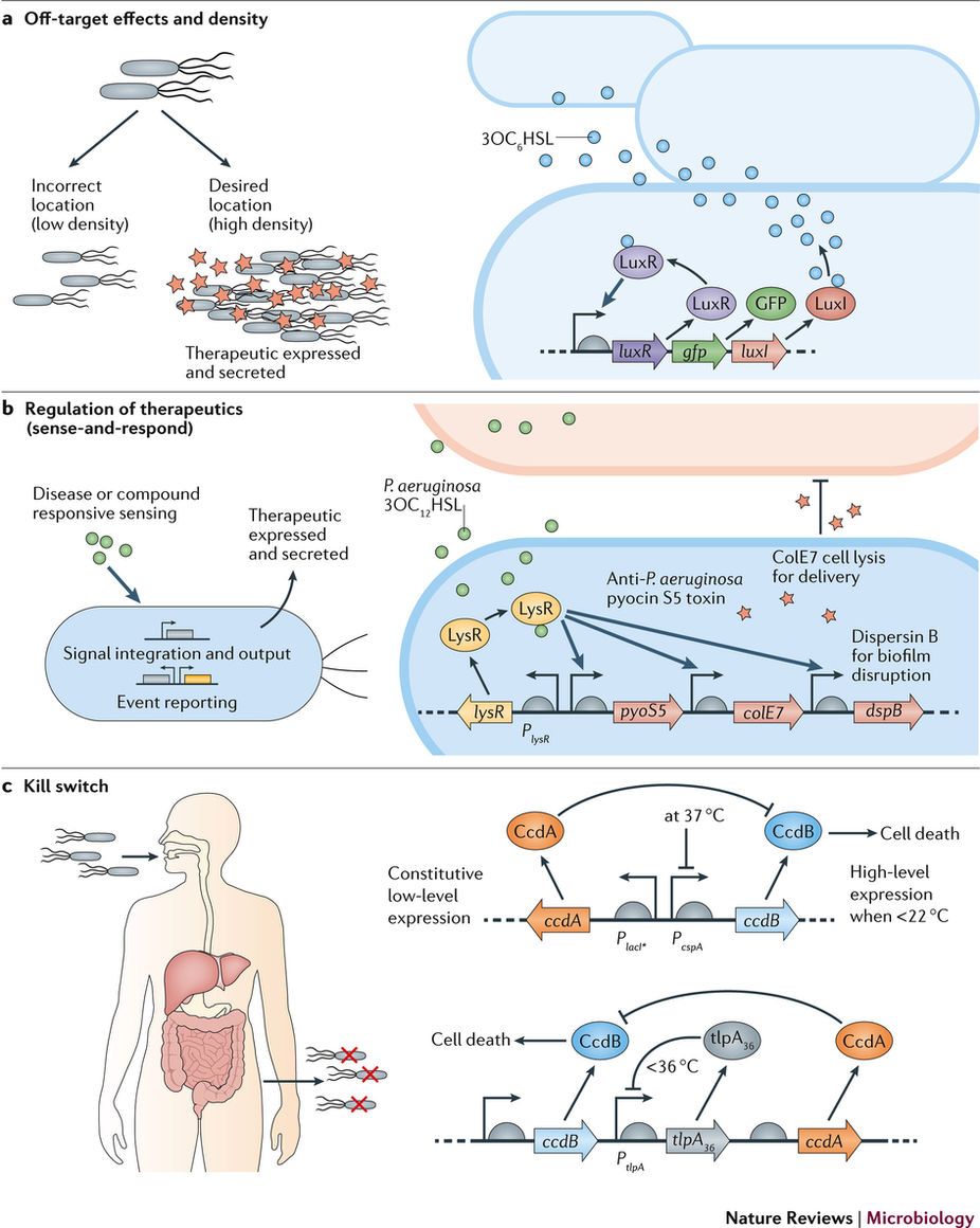 mmw_lmw's tweet photo. #EngineeredBacteria as Diagnostics &amp; Therapeutics | A new era of possibilities: #BioSafety and #BioContainment Strategies | Pam Silver @harvardmed @NatureRevMicro https://t.co/DbrUnhVqZh https://t.co/waM0p1o89J
