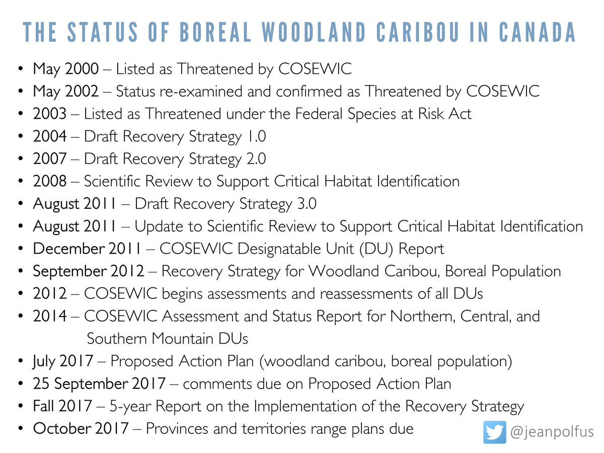 Since the listing of boreal  #caribou under the Canadian Species at Risk Act there have been a series of steps to produce a Recovery Strategy and range and action plans. Obviously, protecting a diverse & complex species like caribou has its fair share of challenges (14/).