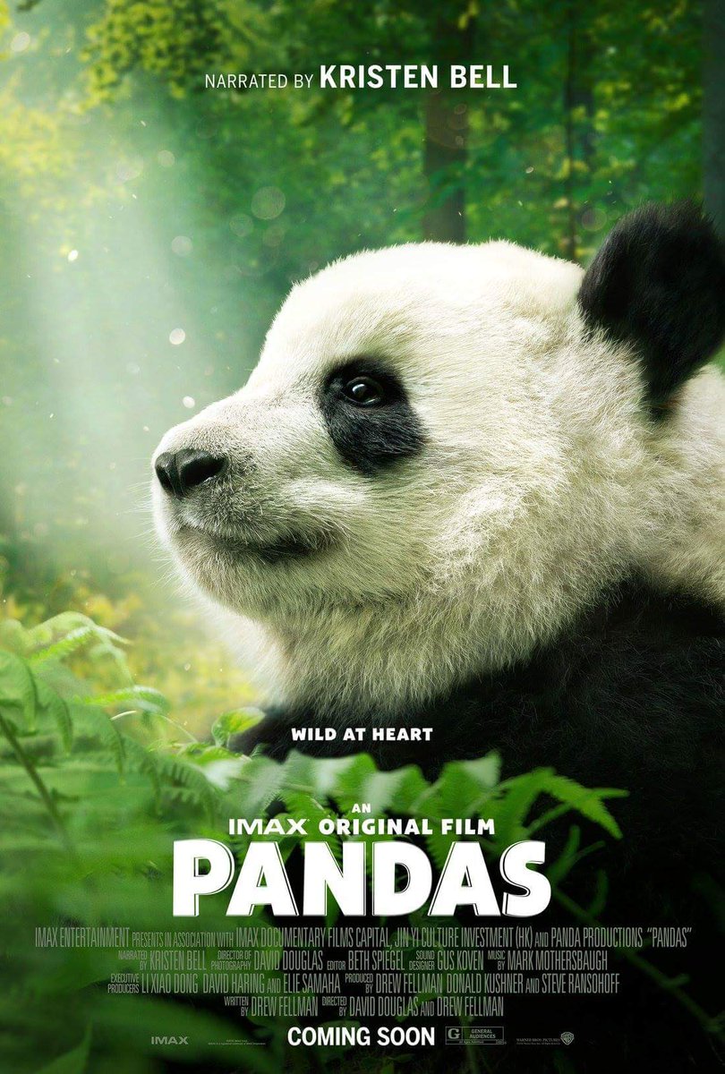 jeffjthompson's tweet image. #panda #ilovepandas #pandabears #pandasrock #pandastory #pandalife #pandasthemovie 🐼 🐼 🐼