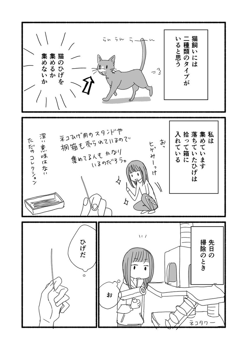 【実録】猫のひげの話  #猫の日 