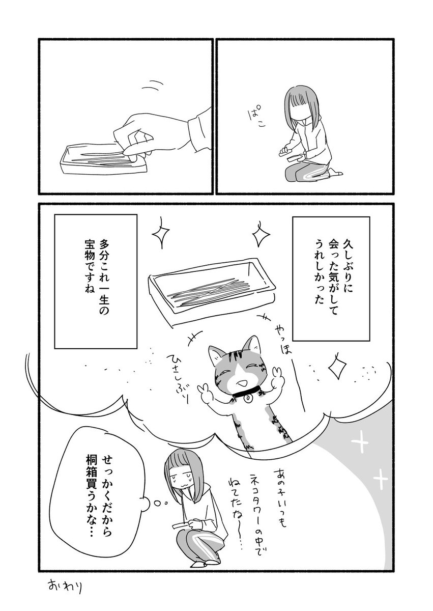 【実録】猫のひげの話  #猫の日 