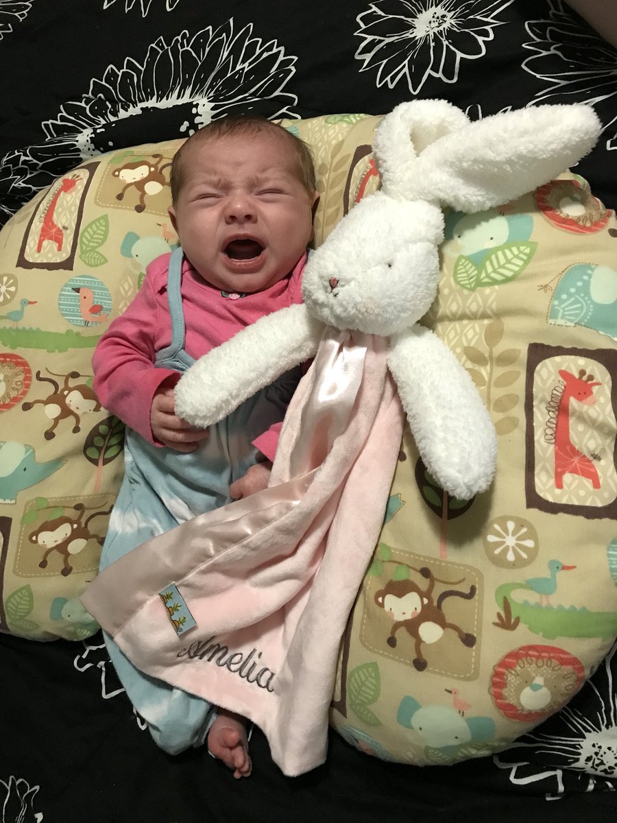 Emski722's tweet photo. Amelia got a new lovey so all the other minions wanted to find theirs!  💕💕💕💕!!!! https://t.co/iT3jrB09Qj