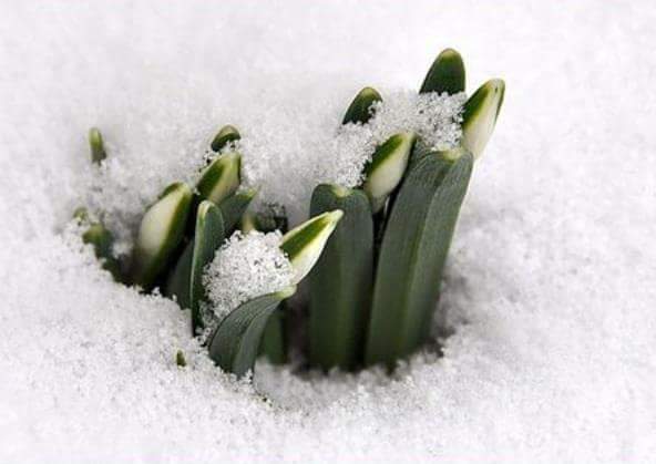 Өглөөний мэнд! 
    Урин цаг ирж байгаа болоод ч тэрүү ойрын үед 
    тэнгэр цэлмэг агаар 
        утаа нь татраад л...