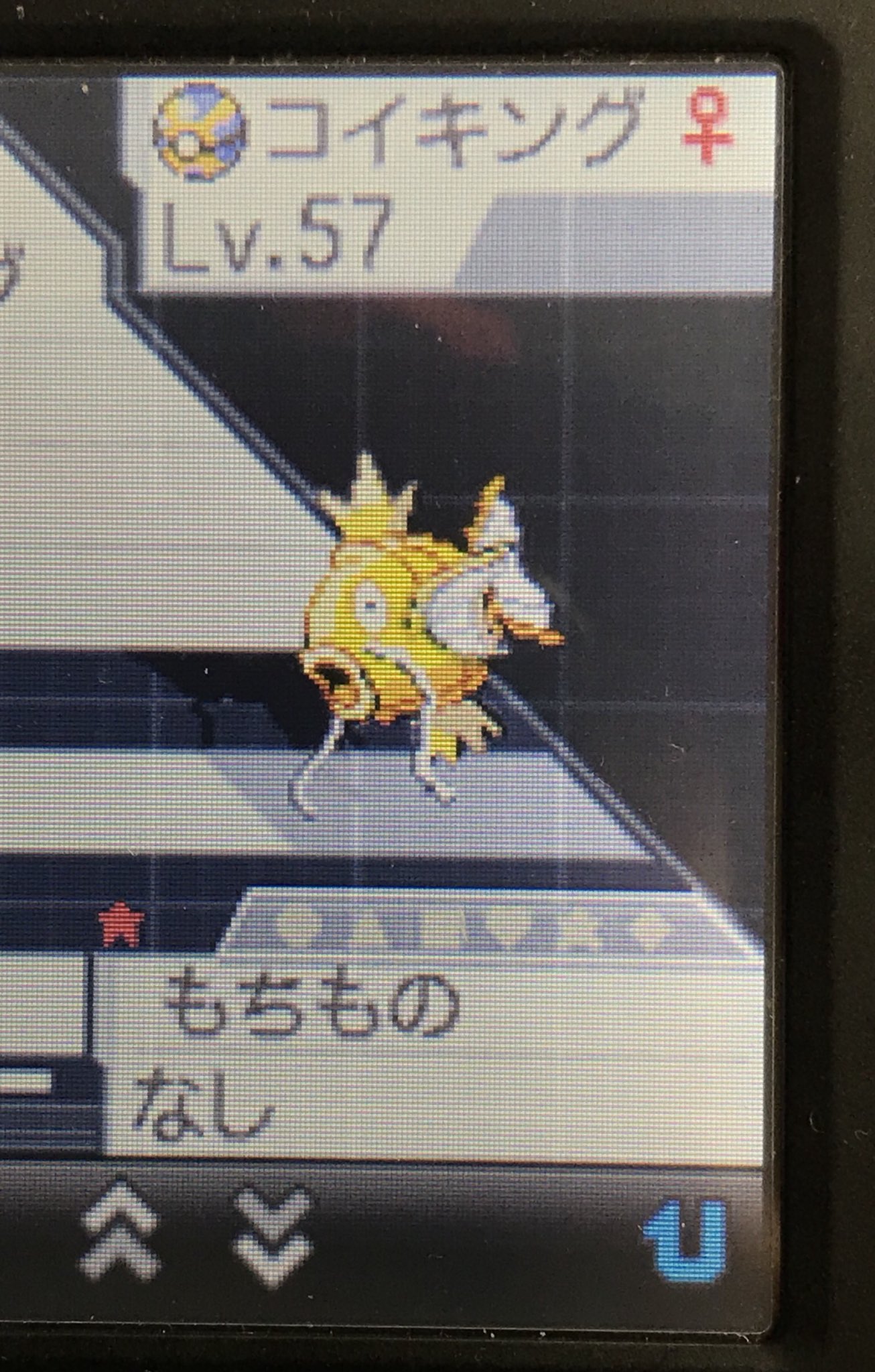 何処かの誰か 久しぶりにポケモンブラック2をやったら 自然保護区で 色違いのコイキングを 手に入れました ポケモンブラック ホワイト Pokemon Pokemonblackwhite ポケモン 色違いポケモン 色違い Shinypokemon Shiny ブラック2