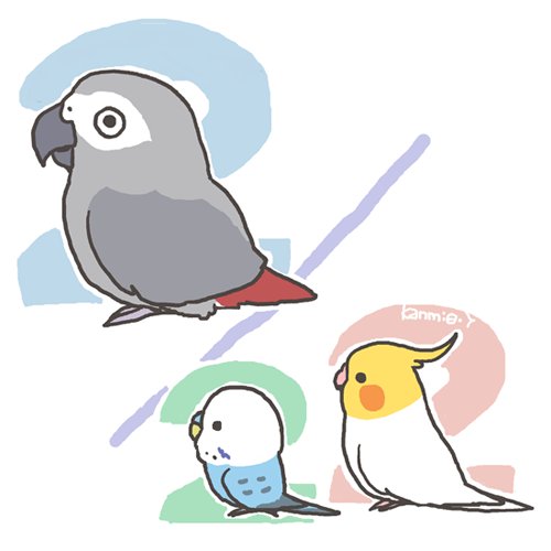 「マル福チビ太で2/22! 」|かんみ（マルといっしょ）のイラスト