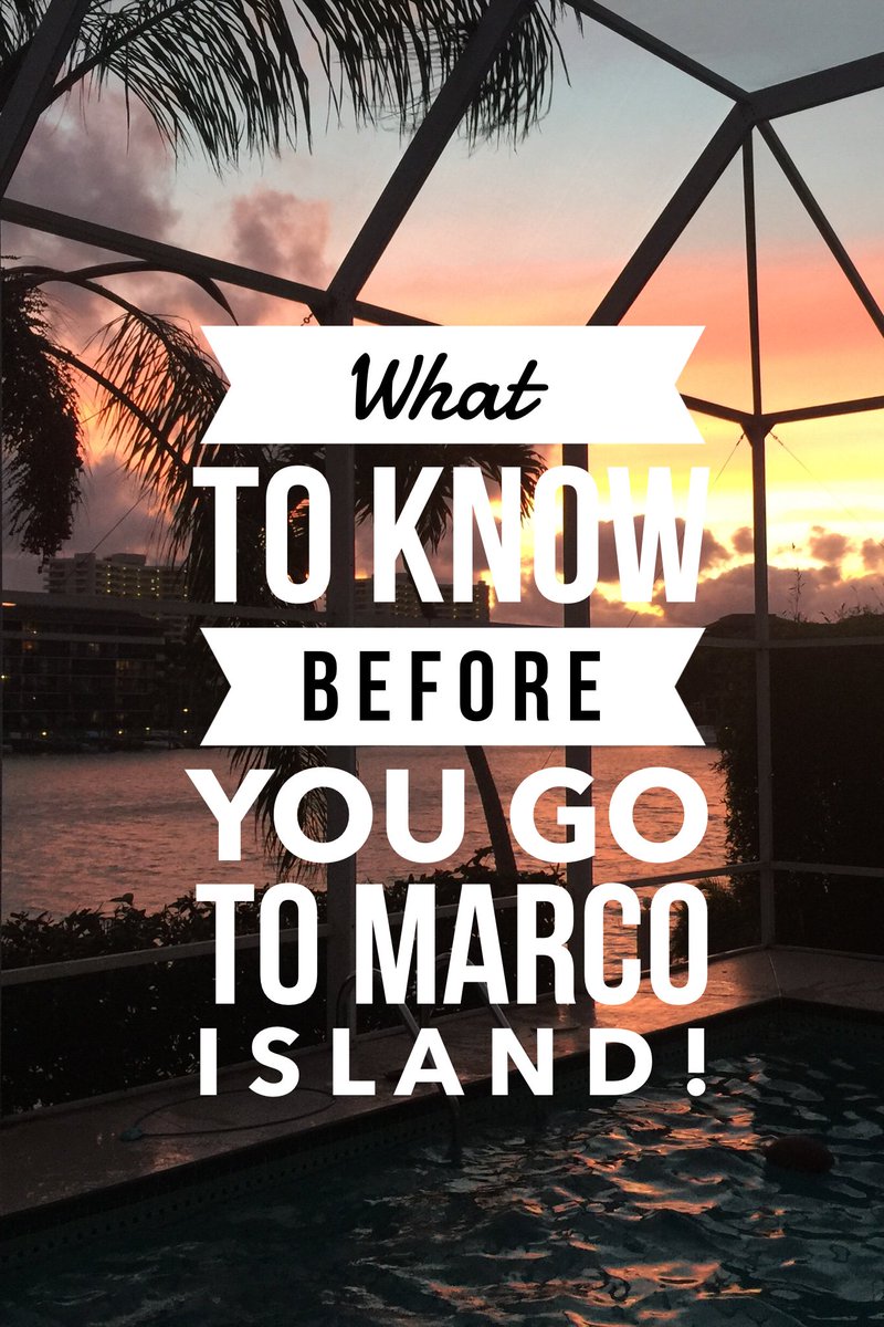TravNeighbor's tweet image. Marco Island, Florida is one of our family's favorite Spring Break destinations! Check out what you need to know before you go! 

#marcoisland #tigertailbeach 

travelingneighbor.com/2017/10/31/mar…