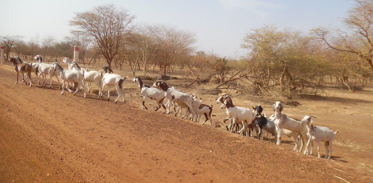 Le financement participatif de proximité : le cas de la province du Soum au Burkina Faso bit.ly/2GAa5O2