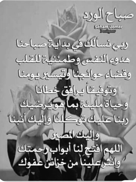 najat casa (@najat_casa) on Twitter photo 