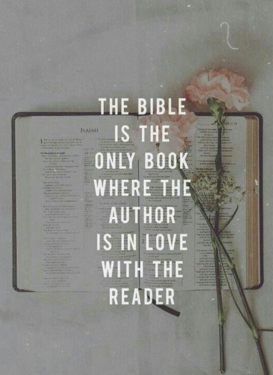 Kayla Price (@kaylaprice_klp) on Twitter photo 