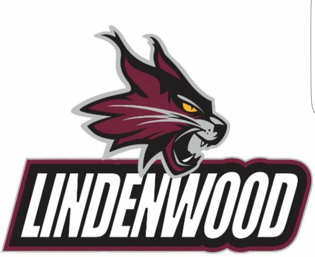 NMulaski's tweet photo. Blessed to be able to say that I’ve received my 1st scholarship offer from Lindenwood University- Belleville! 🏀#GoLynx https://t.co/jShJOiHILZ