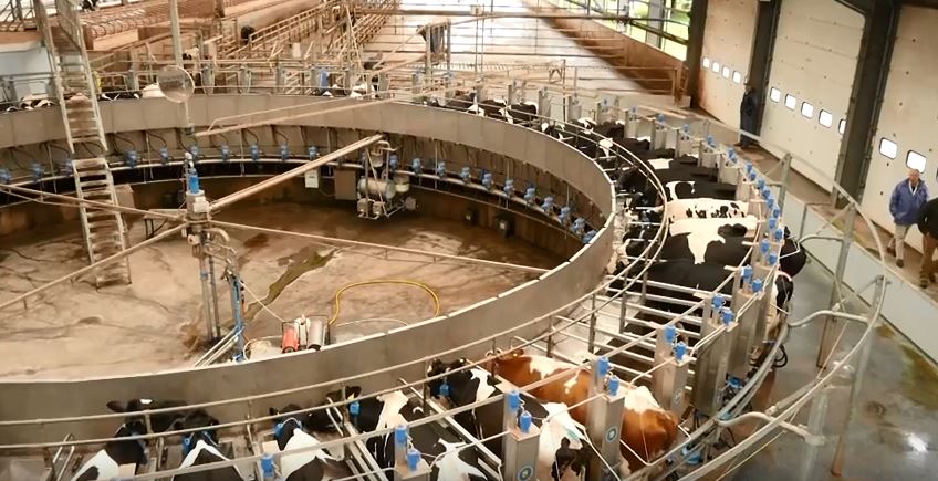 NuffieldFarming's tweet photo. It’s #ThrowbackThursday so we thought we’d look back at last year’s fantastic #NuffieldTriennial event, watch the video here: https://t.co/T9ifeJuyw2 @TheAHDB https://t.co/Y6Ga2Hy8hx