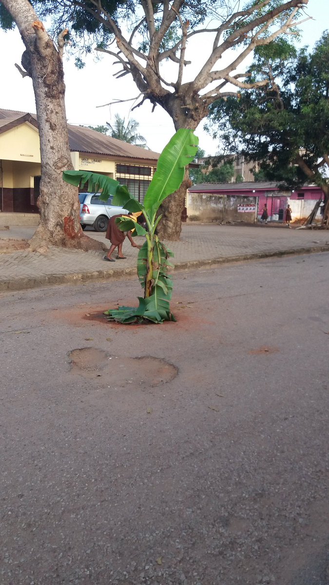 D_kyem's tweet photo. Planting for food and jobs does not mean planting in potholes. Some residents i have! 😔 @NAkufoAddo https://t.co/bfRbAG9ojr