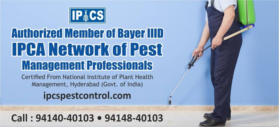 IPCSPestControl's tweet image. IPCS for perfect.......... PEST CONTROL .