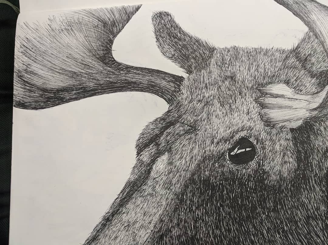 Here's one that I cooked up earlier, about a week ago to be exact
*
*
*
*
*
#Art #Sketch #Sketchbook #Drawing #Moose #MooseDrawing