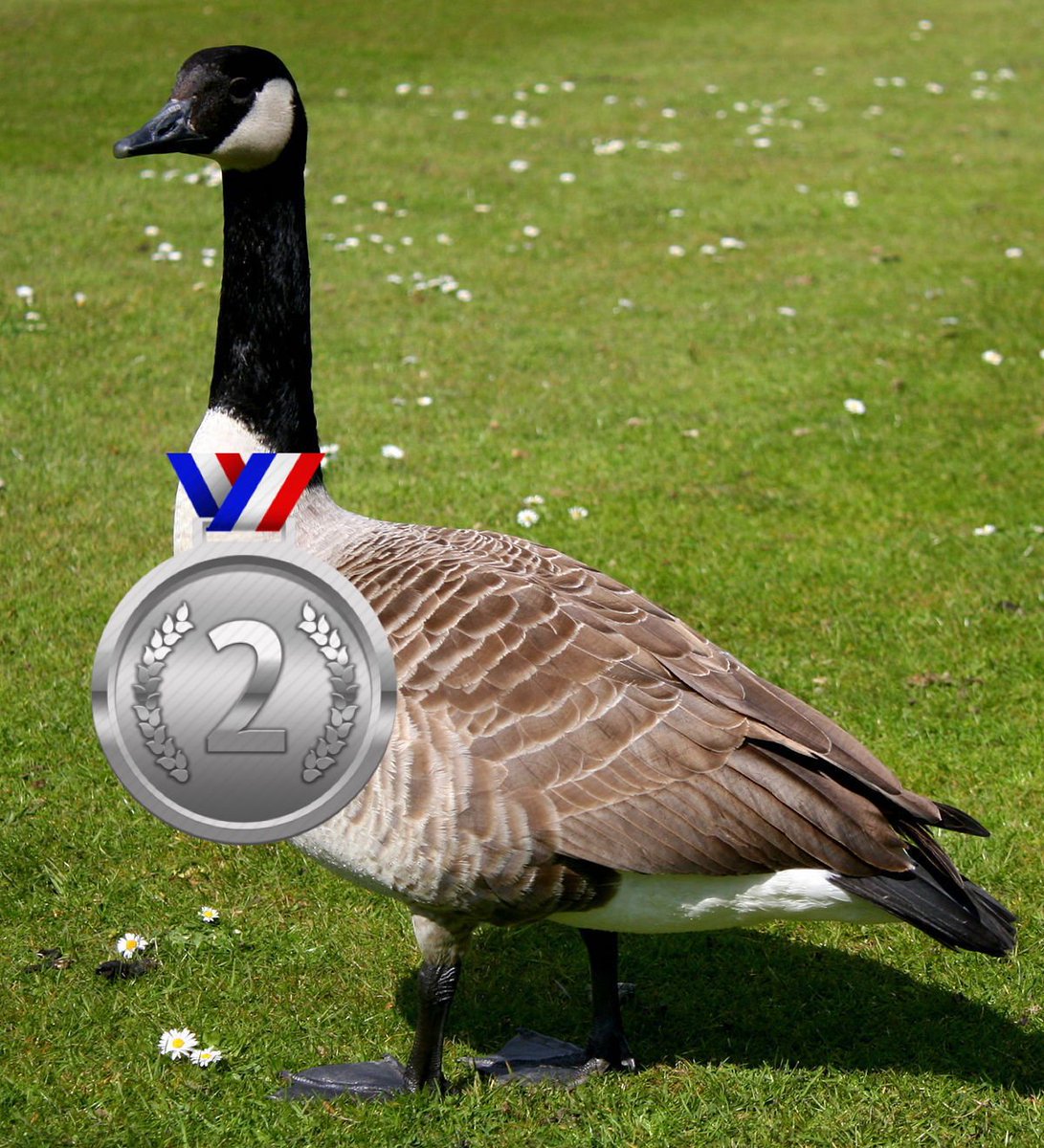 Rodger Sherman tweet media