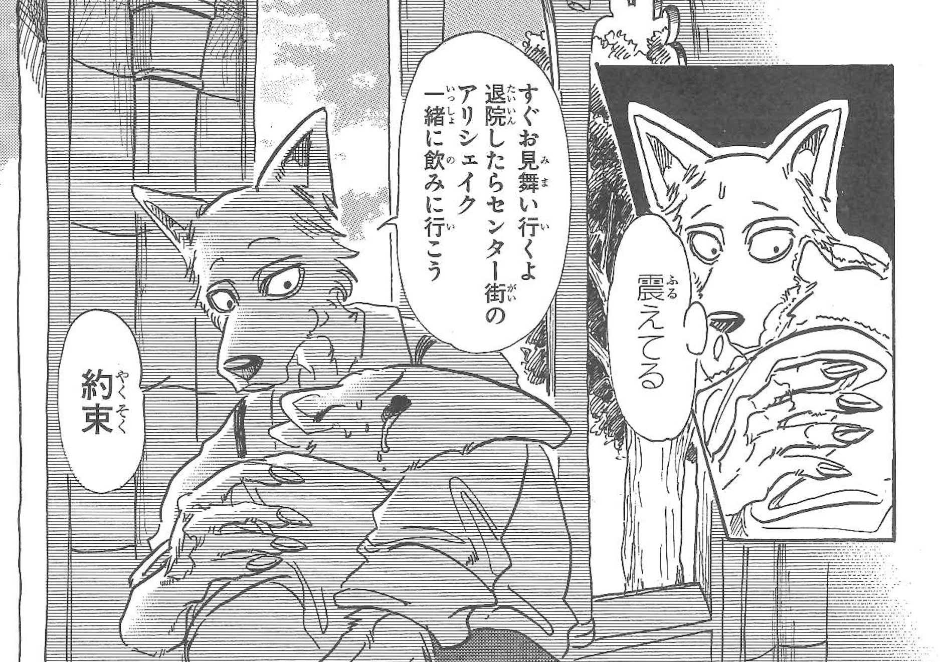 週刊少年チャンピオン編集部 Beastars ビースターズ 第71話が本日発売 2 22 の13号に掲載 演劇部で大事件発生 レゴシの優しさが光る中 物語は急展開を迎え