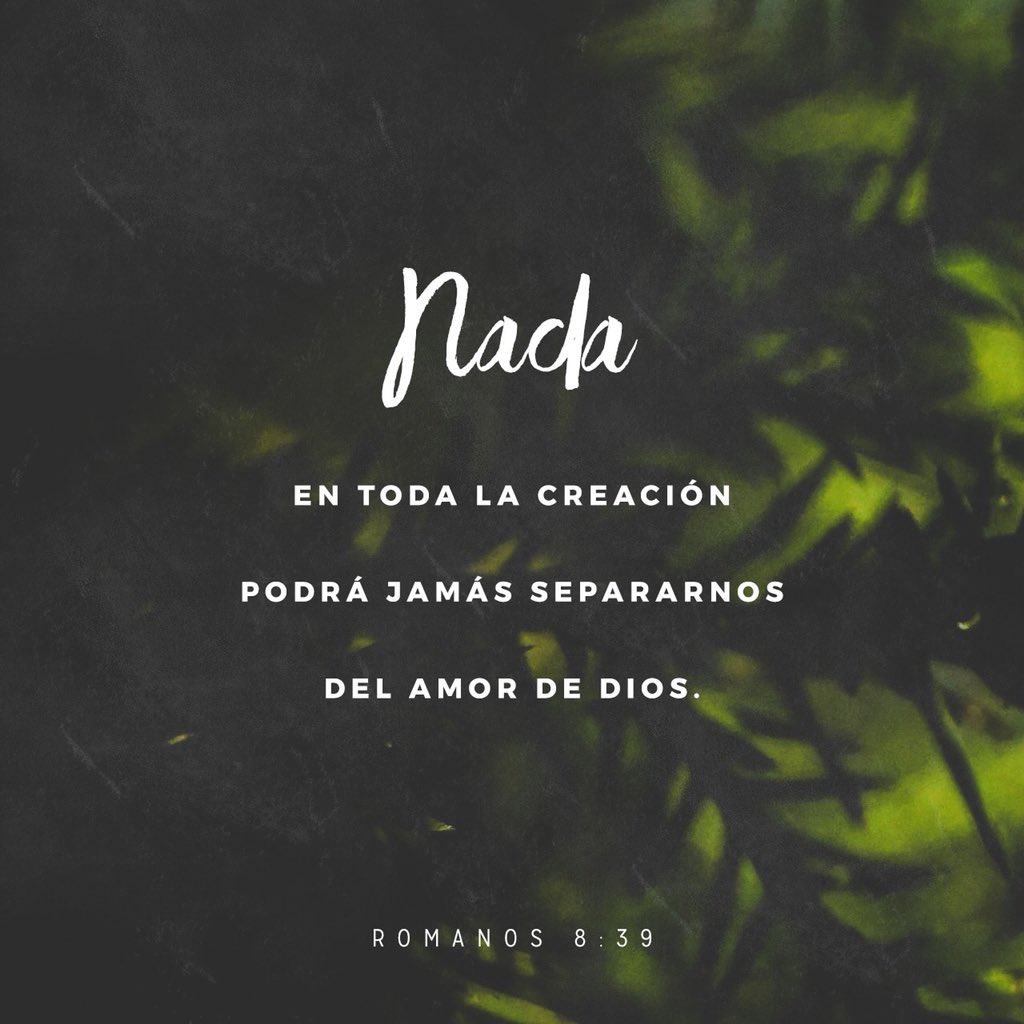 YouVersion_ES's tweet image. 📖 “ni lo alto, ni lo profundo, ni ninguna otra cosa creada nos podrá separar del amor de Dios, que es en Cristo Jesús Señor nuestro.”
-Romanos 8:39 RVR1960-

🔗 bible.com/149/rom.8.39.r…

#youversion_es #versiculodeldia #jesus #youversion