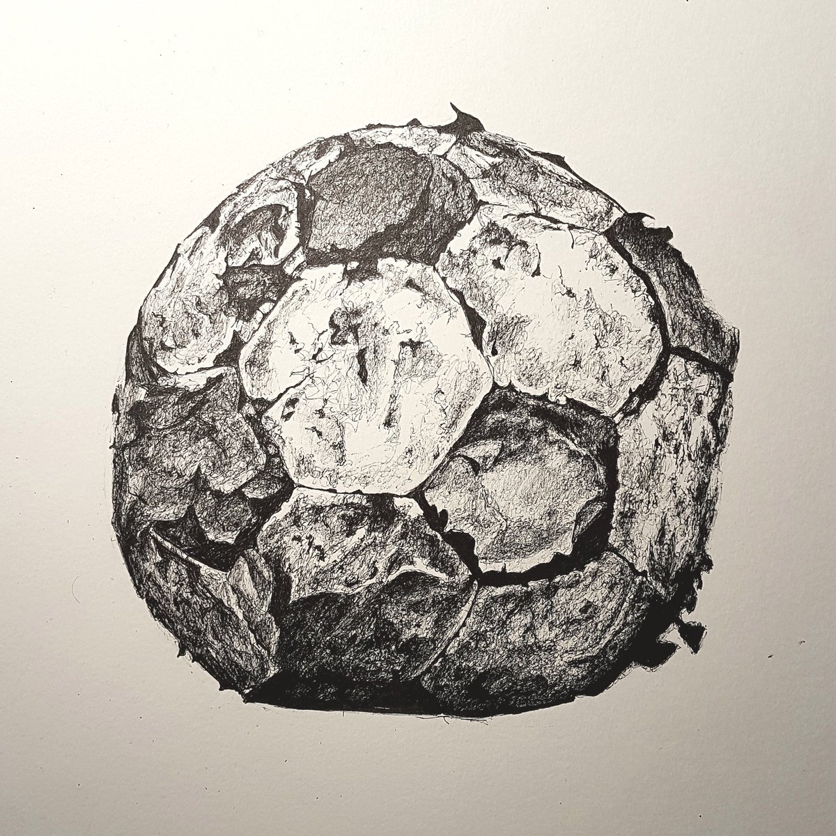 bigthirty's tweet photo. Still good for a keep'em up...
#football #pendrawing #blackandwhite #staedlerpen #soccer https://t.co/M9xaR5JWAf