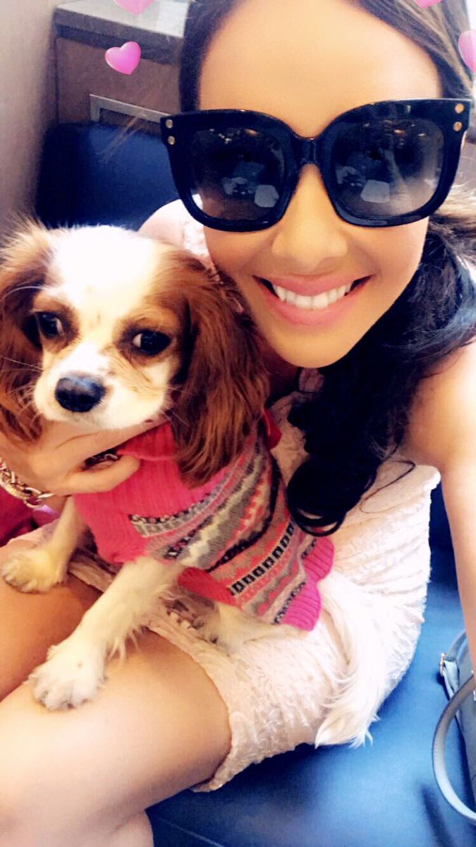 therealalibeck's tweet photo. 💞💞Love of my Life!! Puppies heal all! #LoveYourPetDay https://t.co/k5JqK0LhQ8