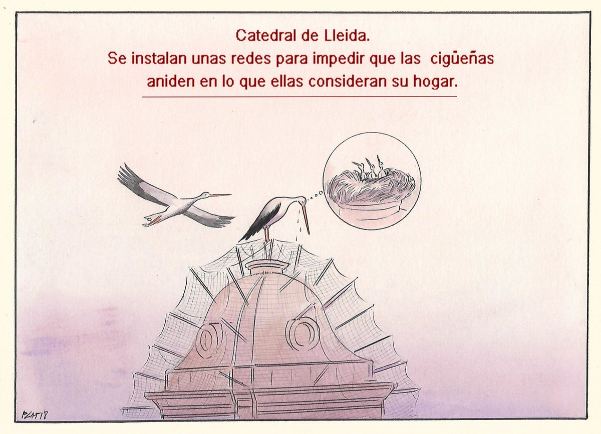 Mi viñeta de hoy jueves 22 de febrero de 2018.
Es de esperar que se busque una solución para que estas preciosas aves puedan nidificar. En estos casos se suelen instalar  estructuras metálicas como base para los nidos y los edificios no se resienten.